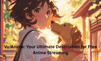 VuiAnime: