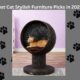 stylish cat furniture
